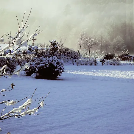 Le Clos Du Nocleg ze śniadaniem Sart-lez-Spa